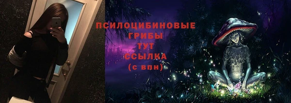 PSILOCYBIN Майский