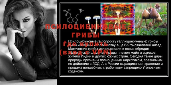 гидра Медногорск